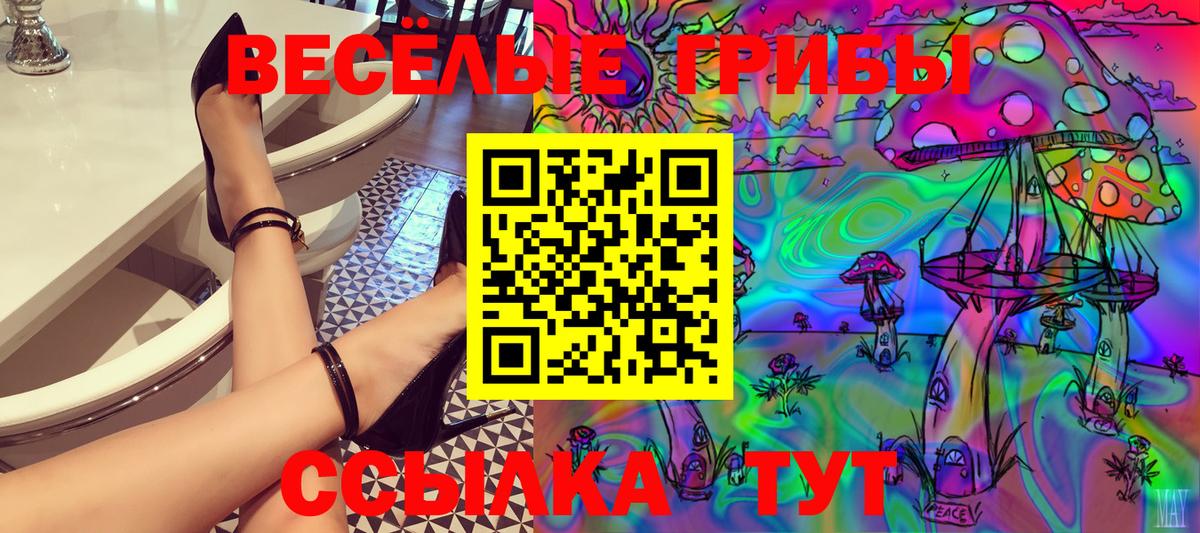 Псилоцибиновые грибы GOLDEN TEACHER  Галлюциногенные грибы GOLDEN TEACHER  Жигулёвск  Вход с VPN 