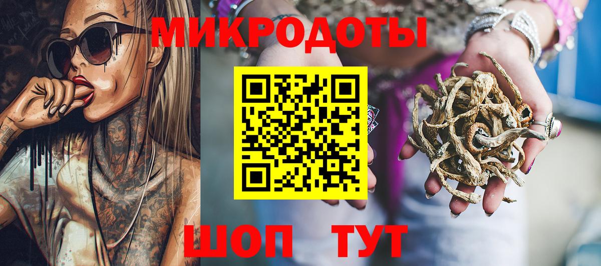 Галлюциногенные грибы Psilocybe Жигулёвск